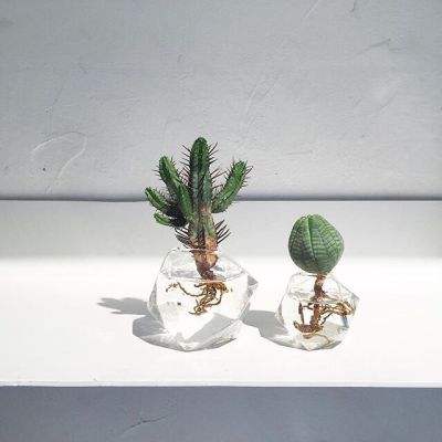 BET体育365投注官网下载手机版