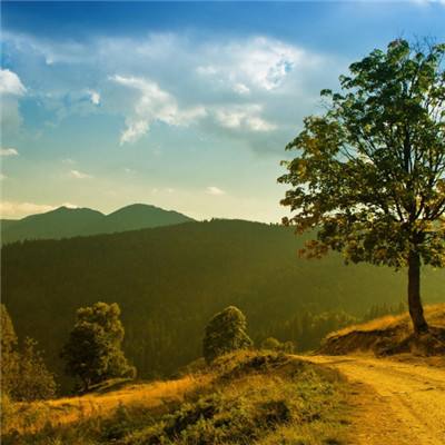 香港今晚六给彩开奖结果手机app下载