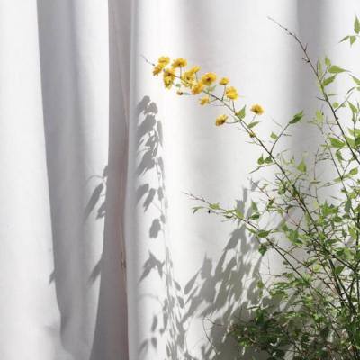 澳门网上黄金城老品牌官网版