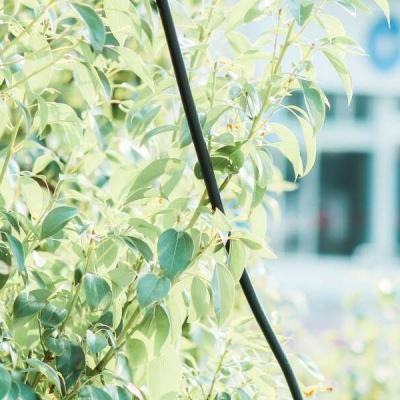 快3平台官网app下载