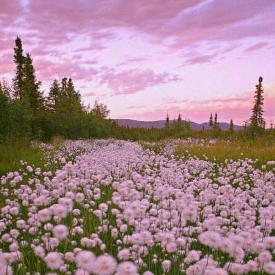 新世纪棋牌截图