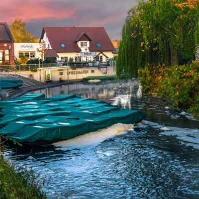 米乐m6官网登录入口app下载