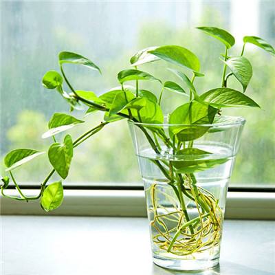 皇冠新体育截图