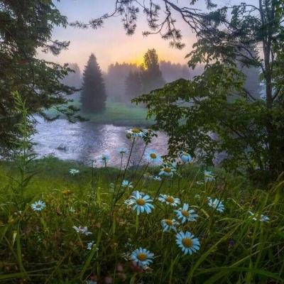 b体育官方app下载下载手机版