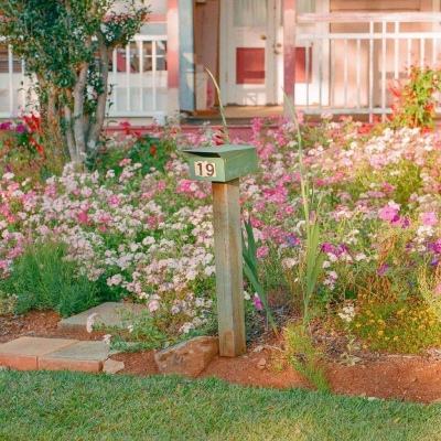 新188app官网下载