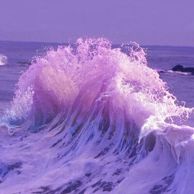 ob体育最新官网下载手机版