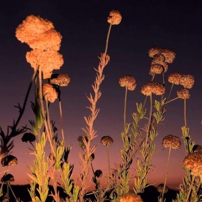 ROR体育官网登录入口下载手机版