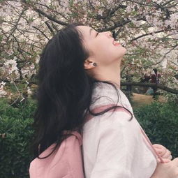 ob体育最新官网下载手机版