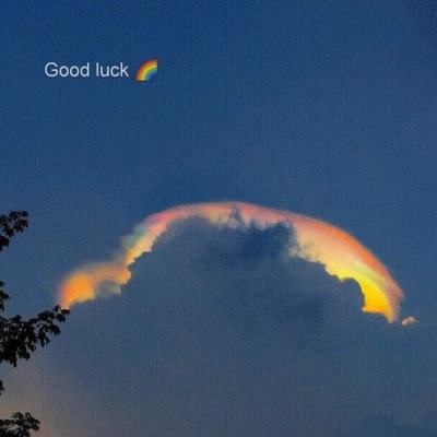 斗牛棋牌下载手机版