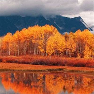 今天买什么特马下载手机版