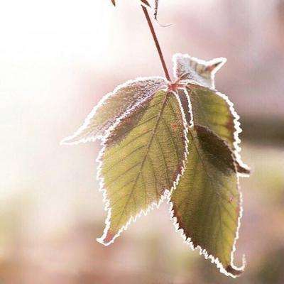 天博tb·体育综合下载手机版