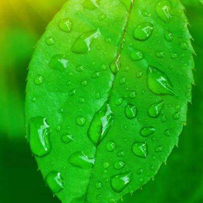 大发国际手机app下载