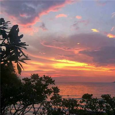 半岛·综合体育中国