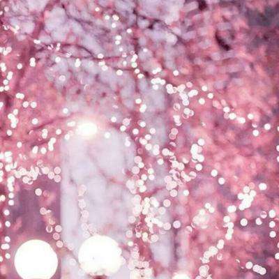 b体育必一官方下载入口