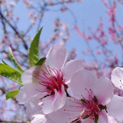 腾讯分分彩登录