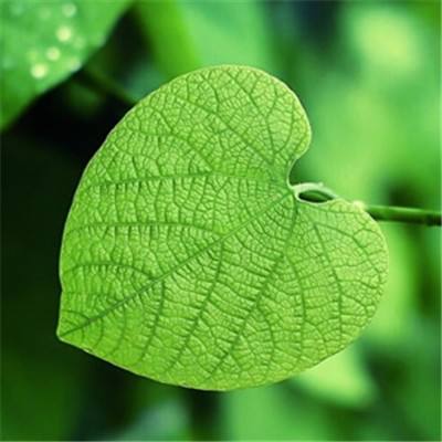 云开平台app最新版手机app下载截图