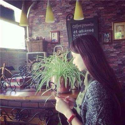 斗牛棋牌手机app下载