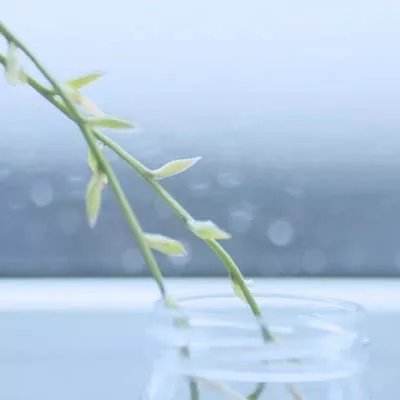 火狐体育APP体育下载手机版