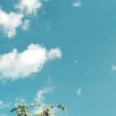 皇冠新体育下载手机版