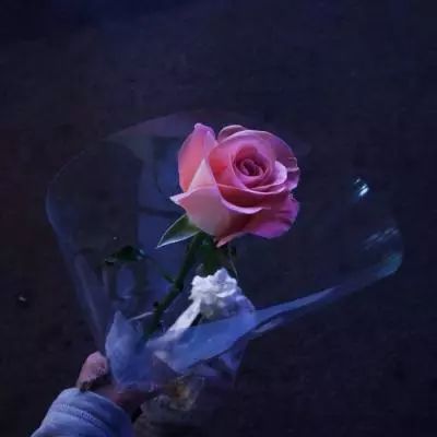 IM电竞平台下载