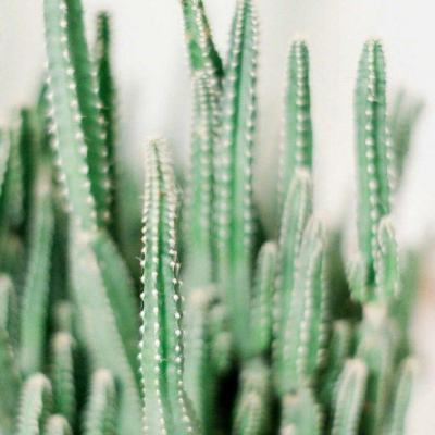 m6米乐网页版登录入口下载手机版