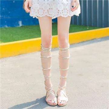 bte365真正的网站