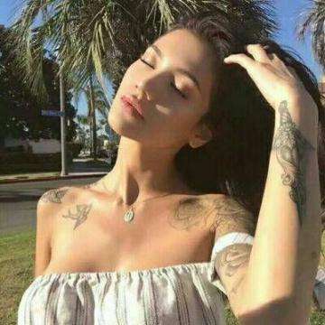 双彩网下载手机版