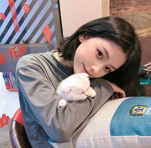 ob体育下载手机版